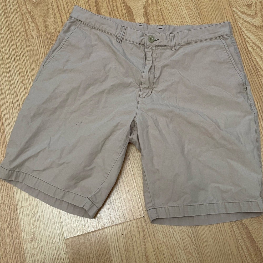 Patagonia organic cotton Men's Shorts